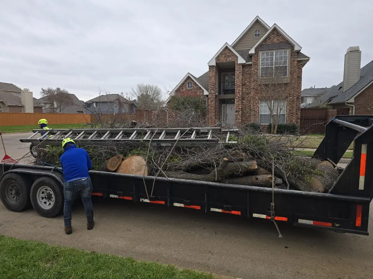 Expert Tree Pest Control with proper safety equipment in Oxford